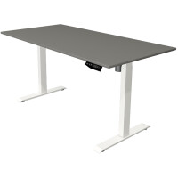 kerkmann Sitz-Steh-Schreibtisch Move 1, (B)1.600 mm, grau