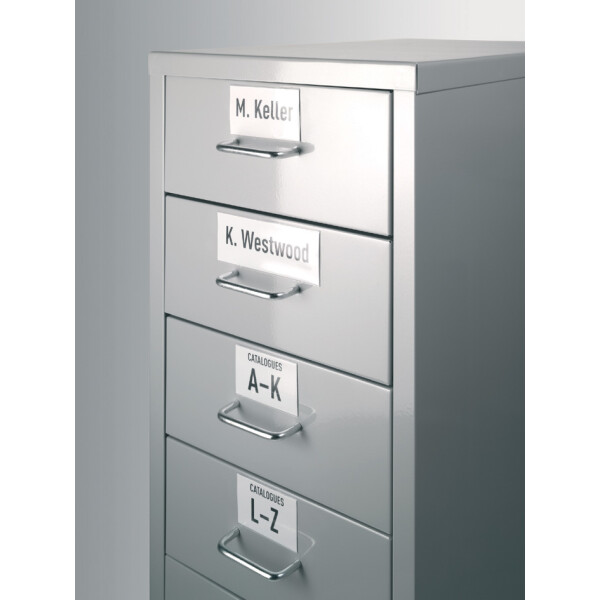 DURABLE Beschriftungsfenster LABELFIX, (B)200 x (H)40 mm