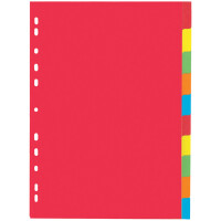 PAGNA Karton-Register, DIN A4, 6-teilig, 6-farbig