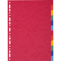 EXACOMPTA Karton-Register, DIN A4, 12-teilig