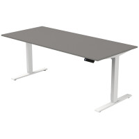 kerkmann Sitz-Steh-Schreibtisch Move 3, (B)1.600 mm, grau
