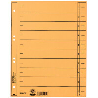 LEITZ Trennblätter, A4 Überbreite, Manilakarton 230g qm,blau