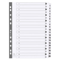EXACOMPTA Karton-Register 1-12, DIN A4, weiß, 12-teilig