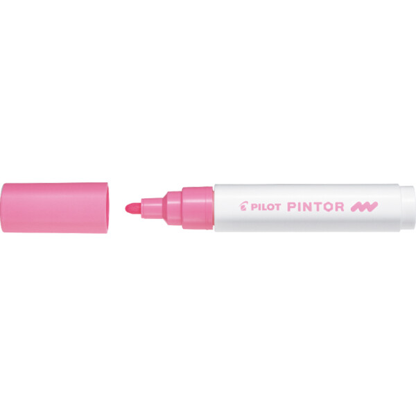 PILOT Pigmentmarker PINTOR, medium, pastellblau
