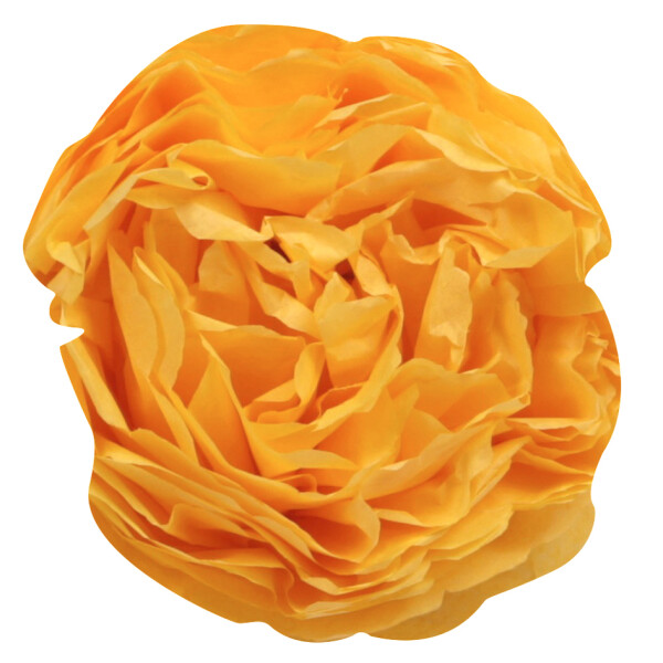 Clairefontaine Seidenpapier, (B)500 x (H)750 mm, elfenbein