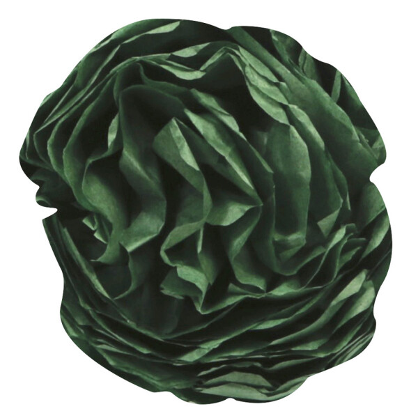 Clairefontaine Seidenpapier, (B)500 x (H)750 mm, elfenbein