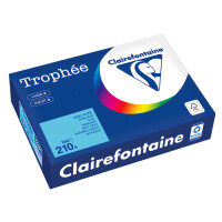 Clairefontaine Multifunktionspapier Trophée, A4, stahlgrau