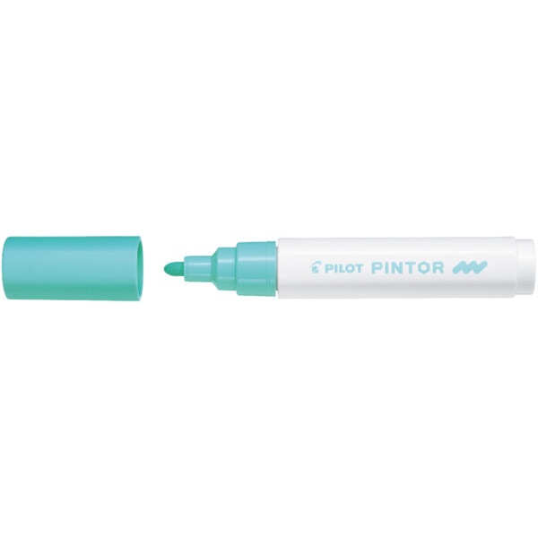 PILOT Pigmentmarker PINTOR, medium, pastellorange