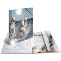HERMA Eckspannermappe "Katzen", PP Glossy, DIN A4