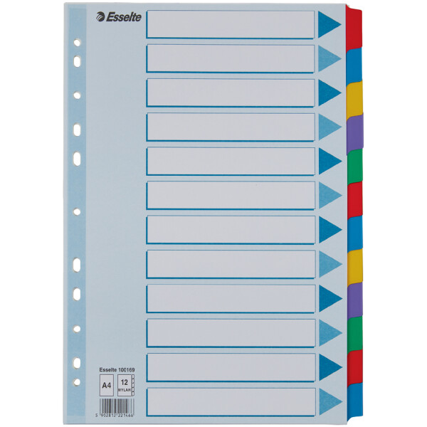 Esselte Karton-Register, blanko, A4, 12-teilig, mehrfarbig