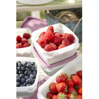 GastroMax Gefrierdose, 0,75 Liter, 4er Set