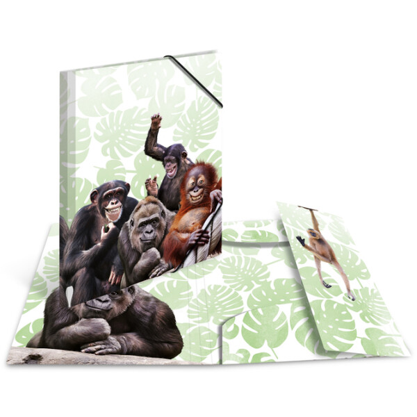 HERMA Eckspannermappe Exotische Tiere, A4, Tropendique