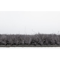 miltex Schmutzfangmatte EAZYCARE BASIC, dunkelgrau