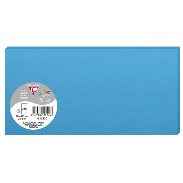 Pollen by Clairefontaine Karte DL, flieder