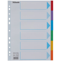 Esselte Karton-Register, blanko, A4, 12-teilig, mehrfarbig