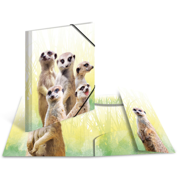HERMA Eckspannermappe Exotische Tiere, A3, Affenbande