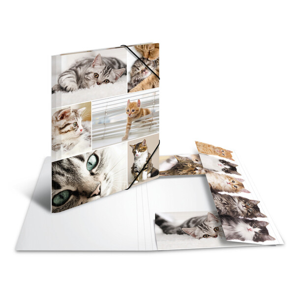 HERMA Eckspannermappe "Katzen", aus Karton, DIN A4