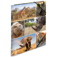 HERMA Eckspannermappe "Katzen", aus Karton, DIN A4