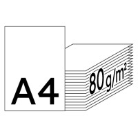IQ Premium Premiumpapier hochweiß A4 80g - 1 Palette (100.000 Blatt)
