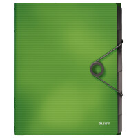 LEITZ Ordnungsmappe Solid, DIN A4, PP, 6 Fächer, hellrot