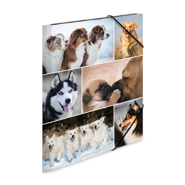 HERMA Eckspannermappe "Katzen", aus Karton, DIN A3