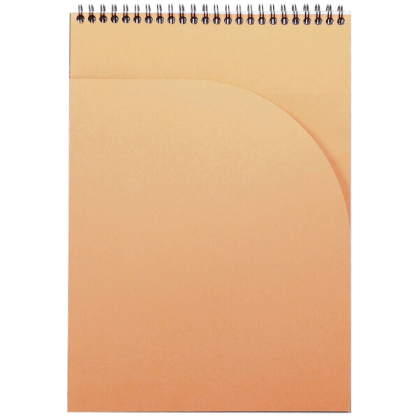 RHODIA Spiralnotizblock Notepad, DIN A4, kariert, schwarz