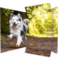 RNK Verlag Zeichnungsmappe "Katze", DIN A3