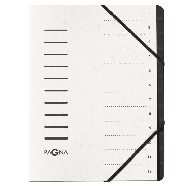 PAGNA Ordnungsmappe "Sorting File", 12 Fächer, dunkelrosa