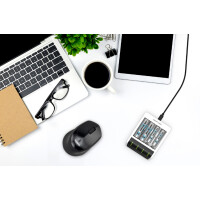 ANSMANN Schnell-Ladegerät Comfort Smart, weiß...