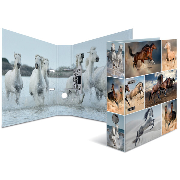 HERMA Motivordner "Animals", DIN A4, Hunde