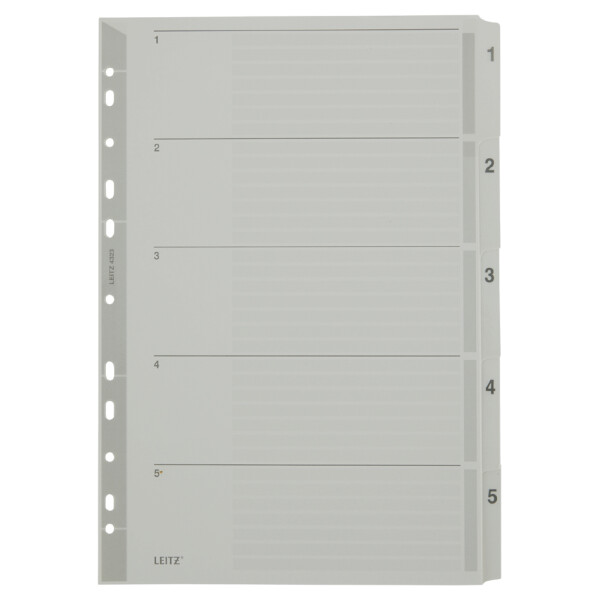 LEITZ Mylarkarton-Register, Zahlen, A4, 1-10, 10-teilig,grau