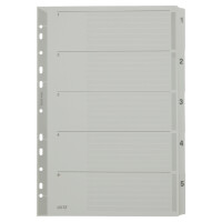 LEITZ Mylarkarton-Register, Zahlen, A4, 1-10, 10-teilig,grau