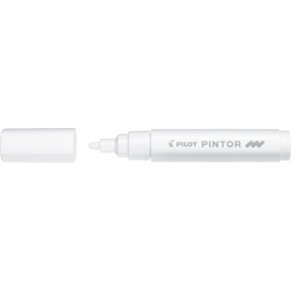 PILOT Pigmentmarker PINTOR, medium, pastellgrün
