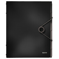 LEITZ Ordnungsmappe Solid, DIN A4, PP, 12 Fächer,...