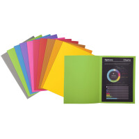 EXACOMPTA Aktendeckel ROCKS, DIN A4, fuchsia