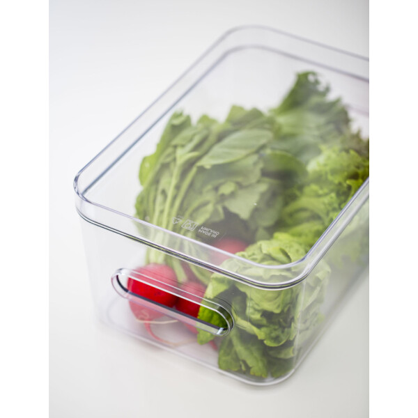 smartstore Deckel für Aufbewahrungsbox COMPACT CLEAR XS
