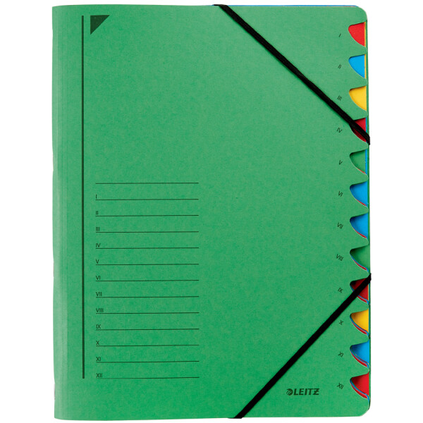 LEITZ Ordnungsmappe, DIN A4, Karton, 7 Fächer, grün