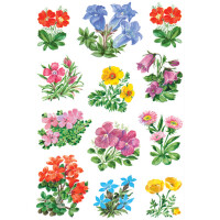 HERMA Sticker DECOR "Gebirgsblumen"