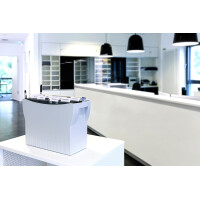 HAN Hängeregistratur-Box SWING, Kunststoff, lichtgrau