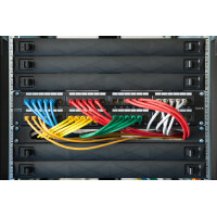 DIGITUS Blindabdeckung für 19" Netzwerk- und...