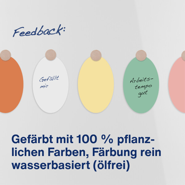 magnetoplan Moderationskarten oval, 190 x 110 mm