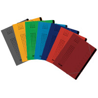 ELBA chic-Ordnungsmappe, A4 rot, Fächer 1-7, Karton