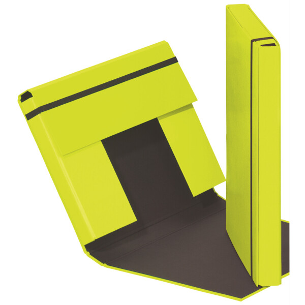 PAGNA Heftbox "Trend Colours", DIN A4, lindgrün