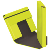 PAGNA Heftbox "Trend Colours", DIN A4, lindgrün