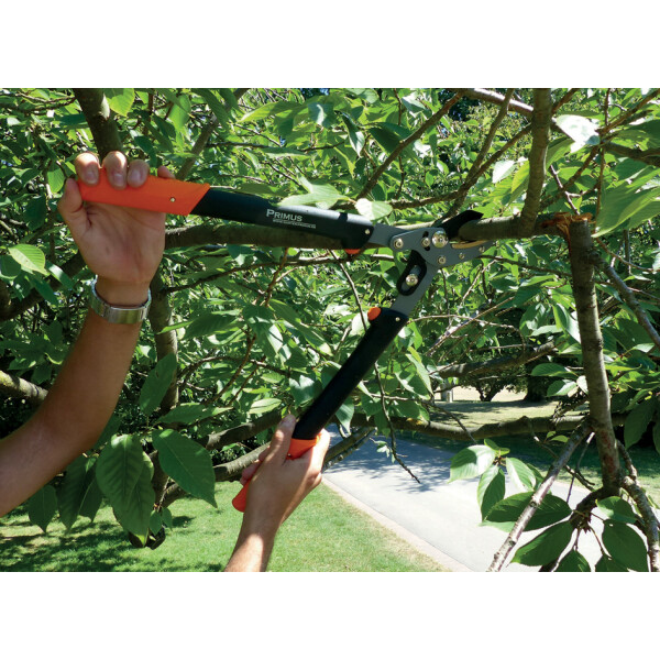 Garten PRIMUS Damen-Astschere, Länge: 470 mm