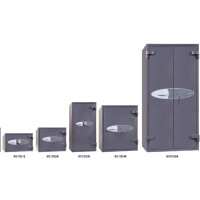 phoenix Einbruchschutz-Tresor NEPTUN HS1053E, graphitgrau