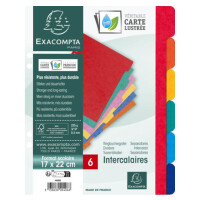 EXACOMPTA Karton-Register, DIN A4, 12-teilig