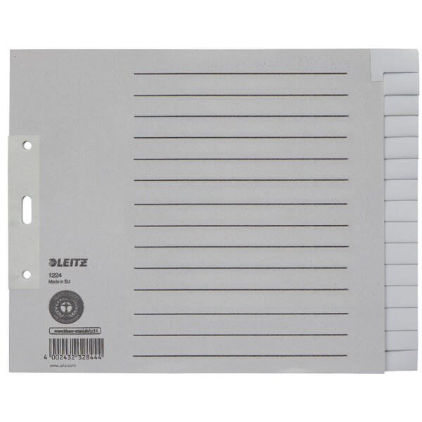 LEITZ Tauenpapier-Register, blanko, A4, 20-teilig, grau