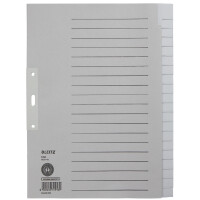 LEITZ Tauenpapier-Register, blanko, A4, 20-teilig, grau