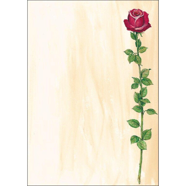sigel Design-Papier, DIN A4, 90 g qm, Motiv "White Orchid"